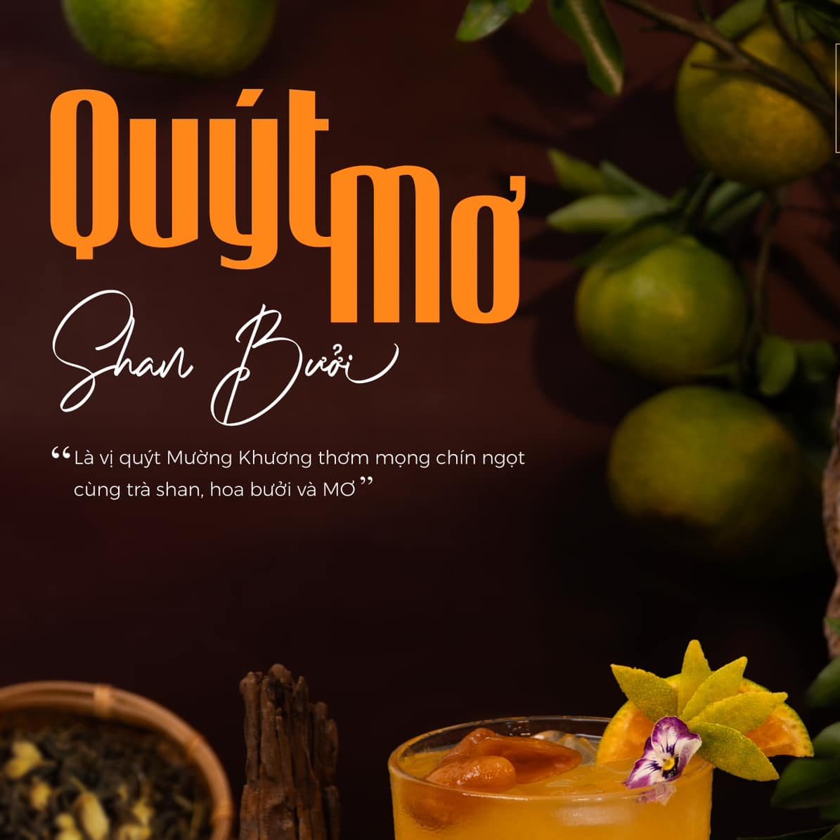 QUÝT MƠ SHAN BƯỞI