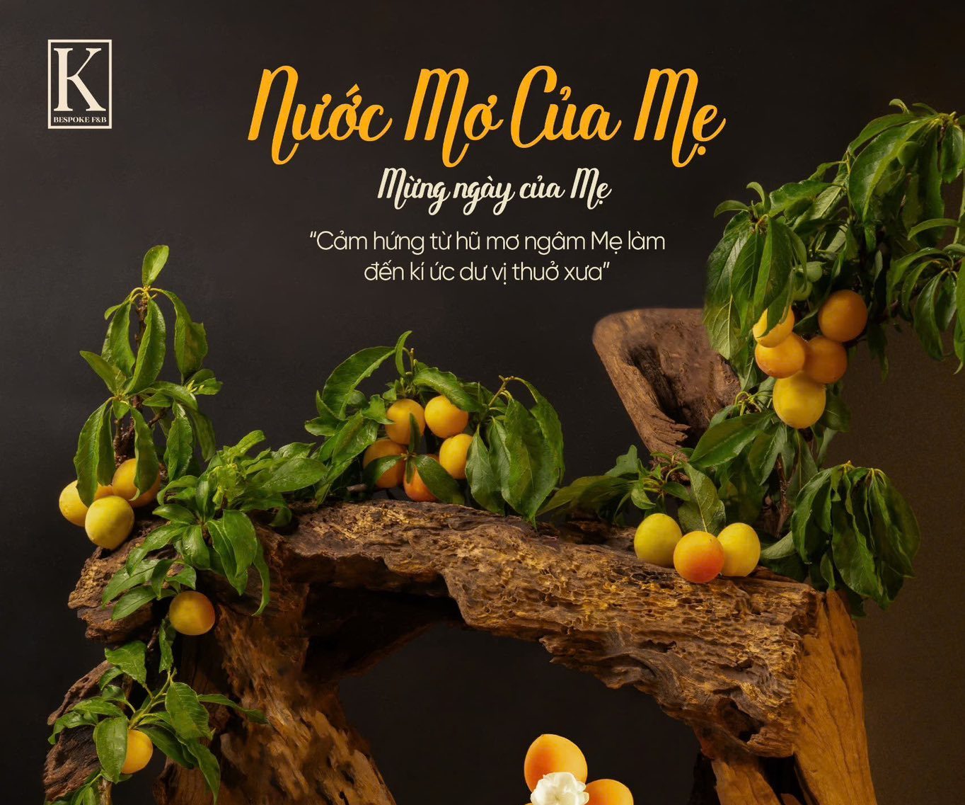 Nước Mơ Của Mẹ | Mừng Ngày Của Mẹ!