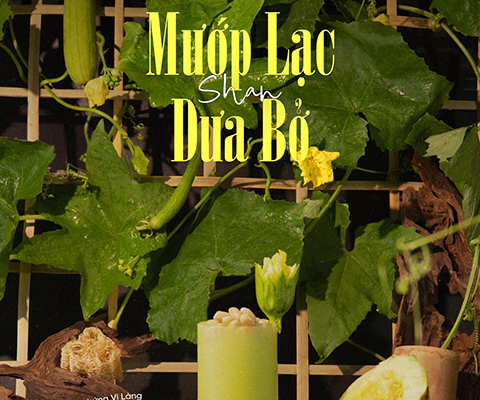 Mướp Lạc Shan Dưa Bở