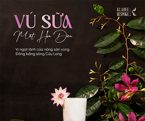 Vú Sữa Mật Hoa Dừa